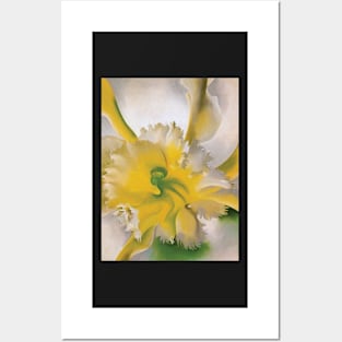 Georgia O'Keeffe - An Orchid Posters and Art